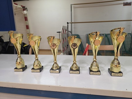 Pokali za najboljše